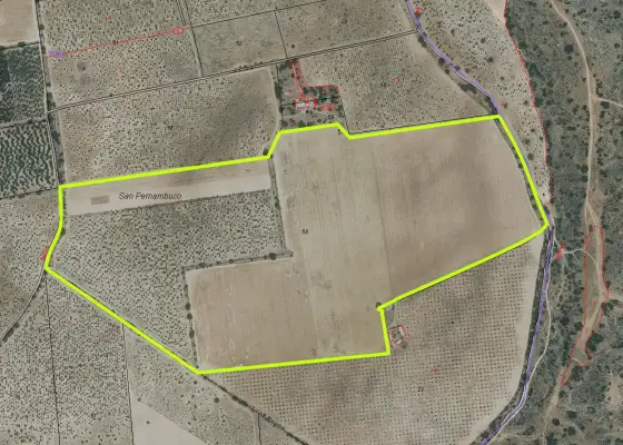Tierra de Labor en venta en Argamasilla de Alba, 286.520 m²