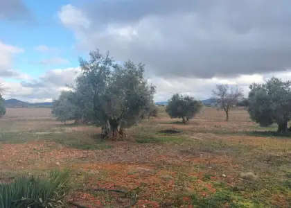 Venta Casa de campo en Argamasilla... en Argamasilla de Calatrava