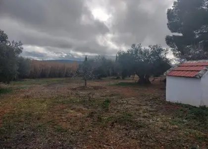 Venta Casa de campo en Argamasilla... en Argamasilla de Calatrava