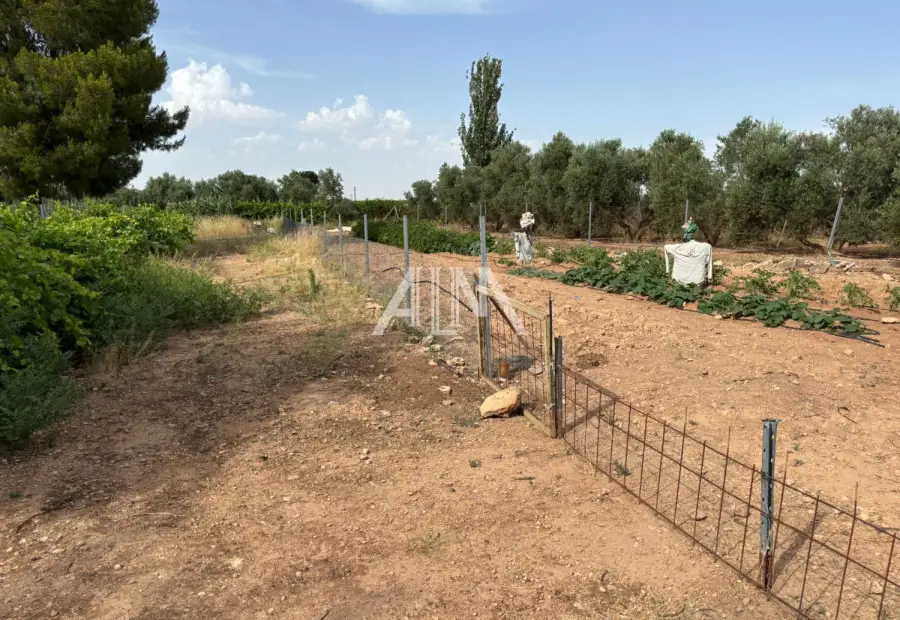 Venta Casa de Campo Periferia, Manzanares en Manzanares