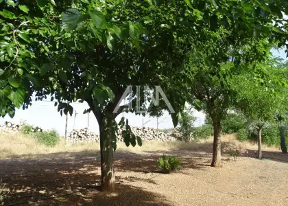 Venta Casa de Campo ValdepeÃ±as, ValdepeÃ±as en Valdepeñas