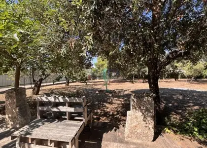 venta de casa en Valdepeñas, BAÑOS DEL PERAL en Valdepeñas