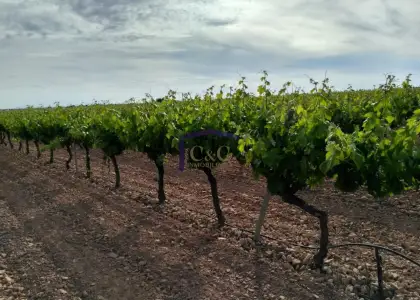venta de chalet en Manzanares, Manzanares en Manzanares