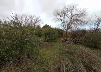venta de finca de recreo en Manzanares, Carretera de alcázar en Manzanares