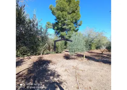 venta de finca rústica en Manzanares, Carretera de arenas en Manzanares