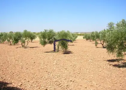 venta de finca rústica en Manzanares, Carretera de argamasilla en Manzanares