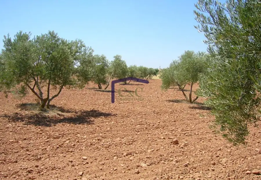 venta de finca rústica en Manzanares, Carretera de argamasilla en Manzanares