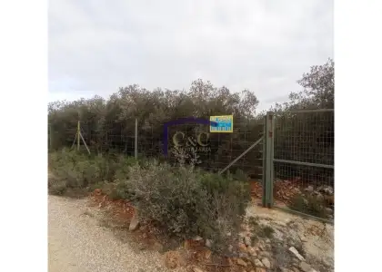 venta de finca rústica en Manzanares, Carretera de siles en Manzanares