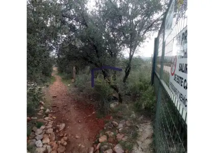 venta de finca rústica en Manzanares, Carretera de siles en Manzanares