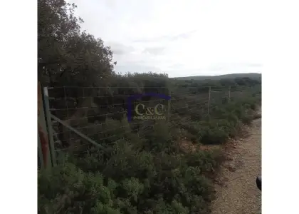 venta de finca rústica en Manzanares, Carretera de siles en Manzanares