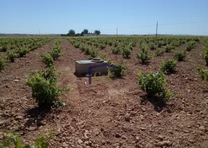 venta de finca rústica en Manzanares, Cementerio en Manzanares