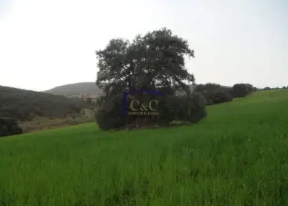 venta de finca rústica en Torrenueva, Torrenueva en Torrenueva