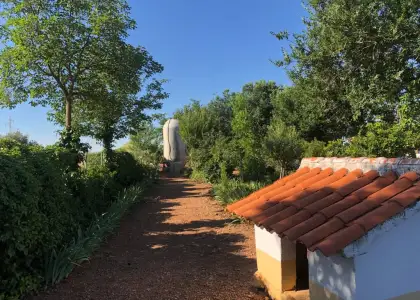 Venta Finca RÃºstica Membrilla, Membrilla en Membrilla