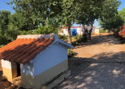Venta Finca RÃºstica Membrilla, Membrilla en Membrilla