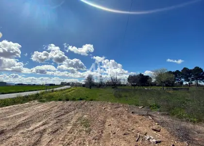 Venta Finca RÃºstica Membrilla, Membrilla en Membrilla