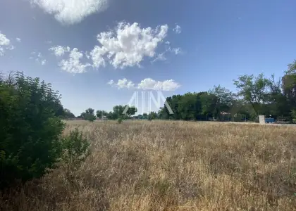 Venta Finca RÃºstica Membrilla, Membrilla en Membrilla