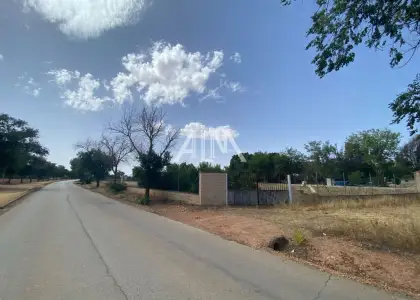 Venta Finca RÃºstica Membrilla, Membrilla en Membrilla