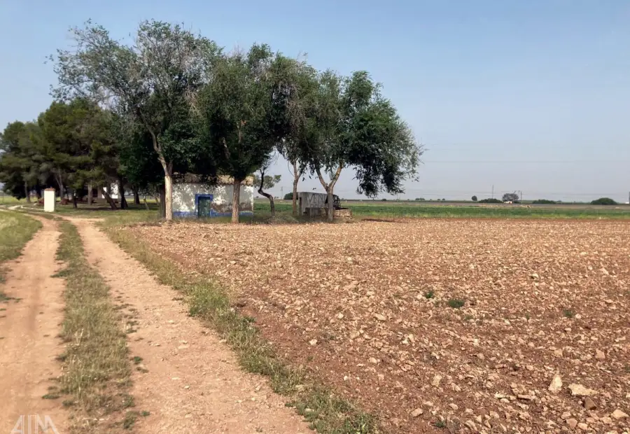Venta Finca RÃºstica Membrilla, Membrilla en Membrilla