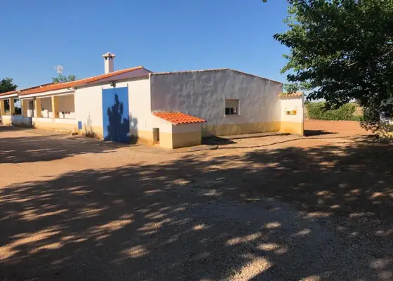 Venta Finca RÃºstica Membrilla, Membrilla