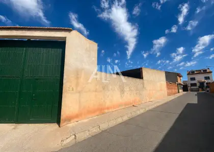 Venta Solar Membrilla, Membrilla en Membrilla