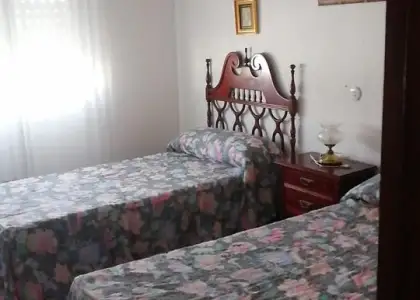 VIVIENDA DOBLE CON COCHERA Y TERRAZA en Hinojosas en Hinojosas de Calatrava